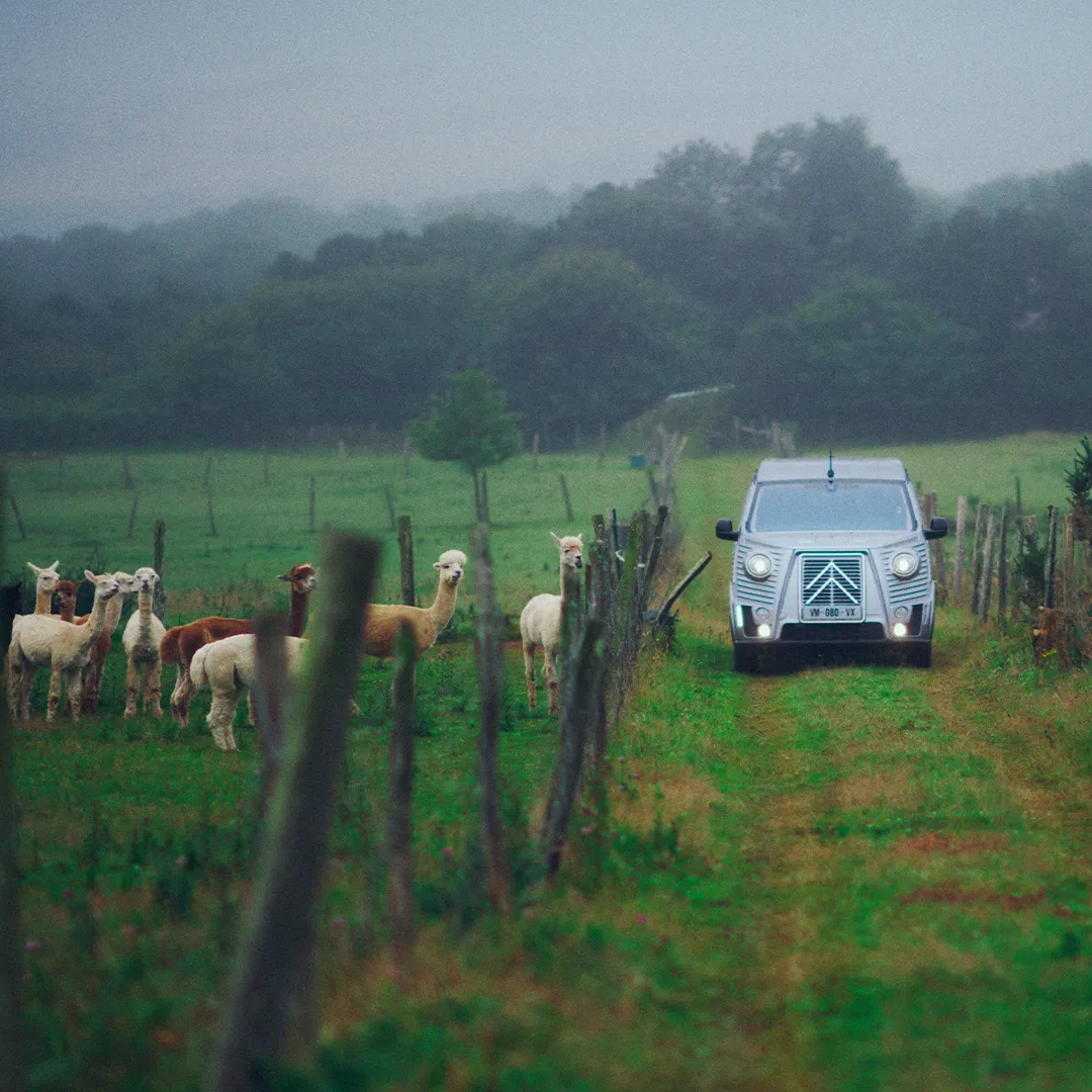 exemple de travaux réalisé pour Citroen par l'agence Raymonde