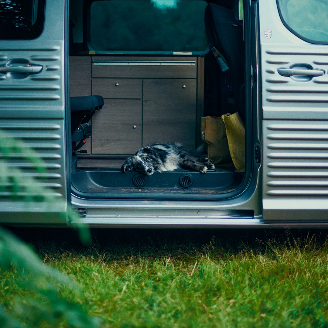 exemple de travaux réalisé pour Citroen par l'agence Raymonde