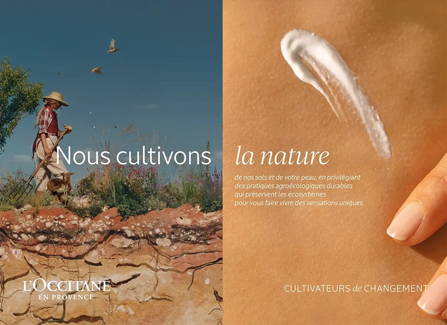 agence raymonde projet occitane