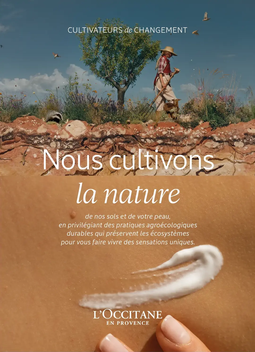 agence raymonde projet occitane