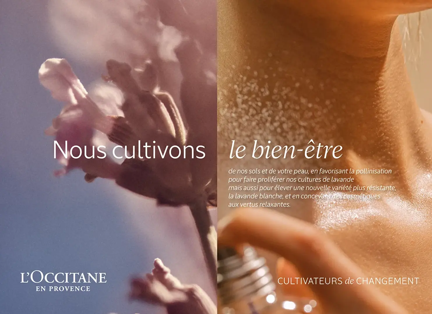 agence raymonde projet occitane