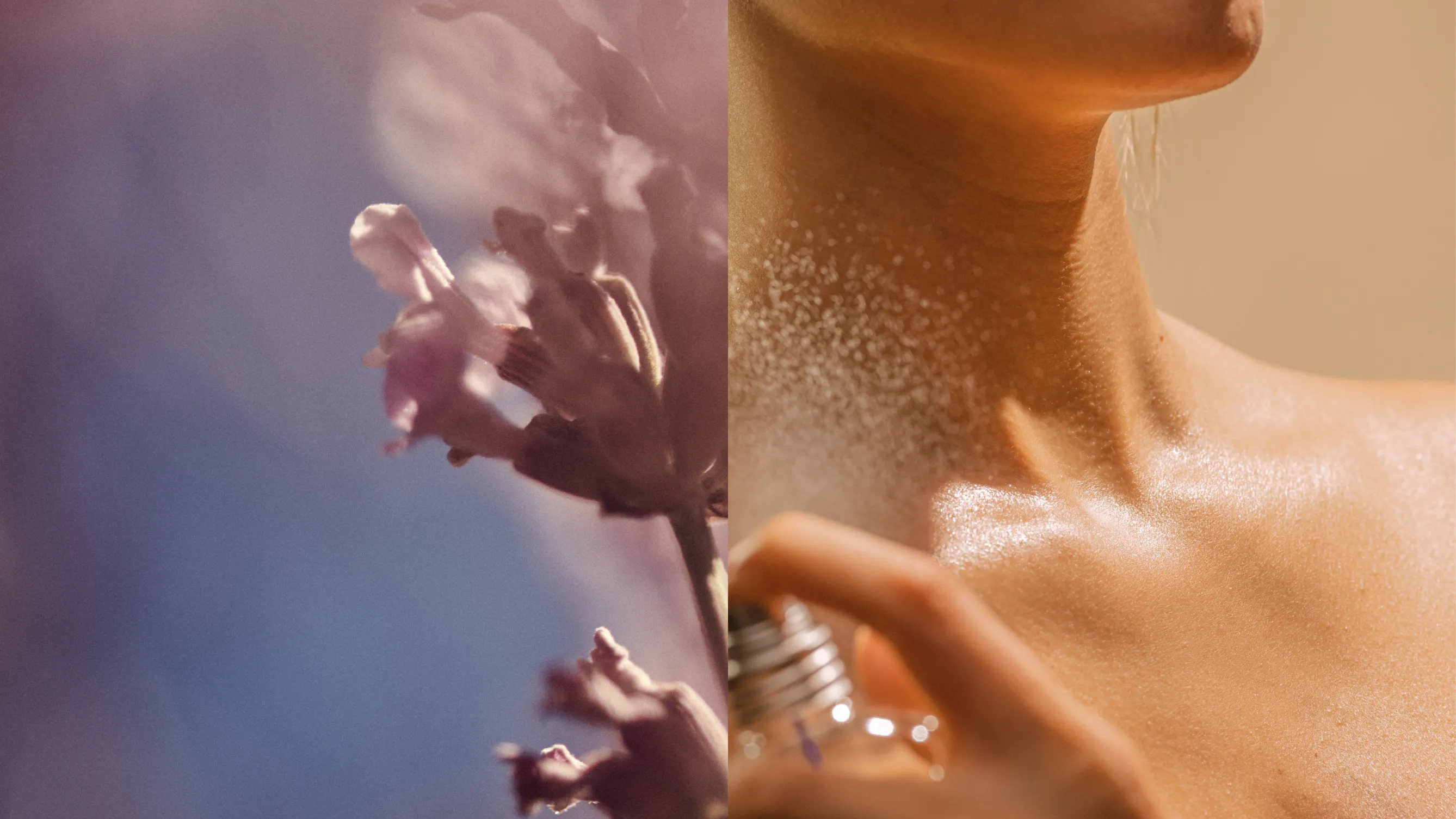 projet l'occitane réalisé par l'agence raymonde