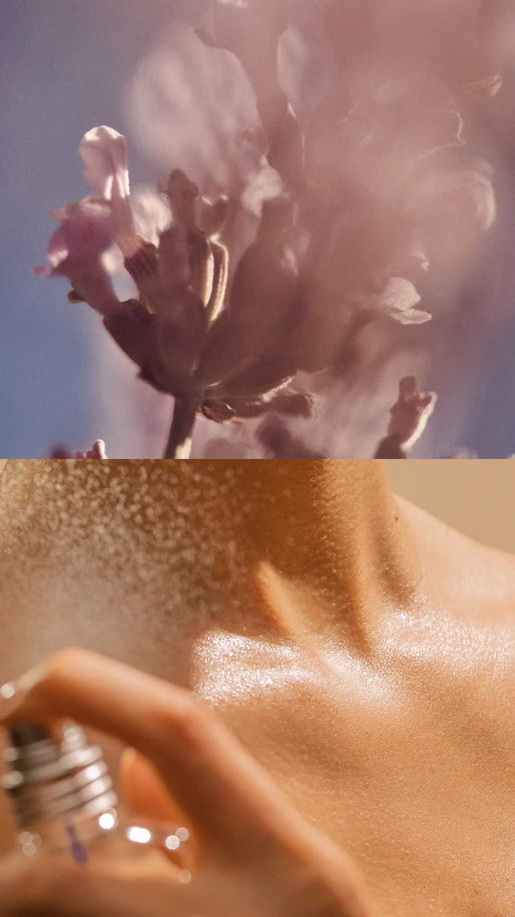 projet l'occitane réalisé par l'agence raymonde