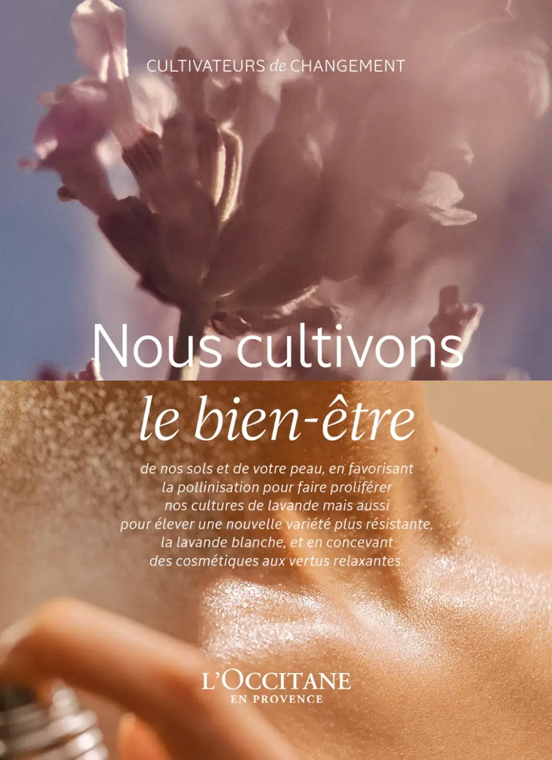 agence raymonde projet occitane