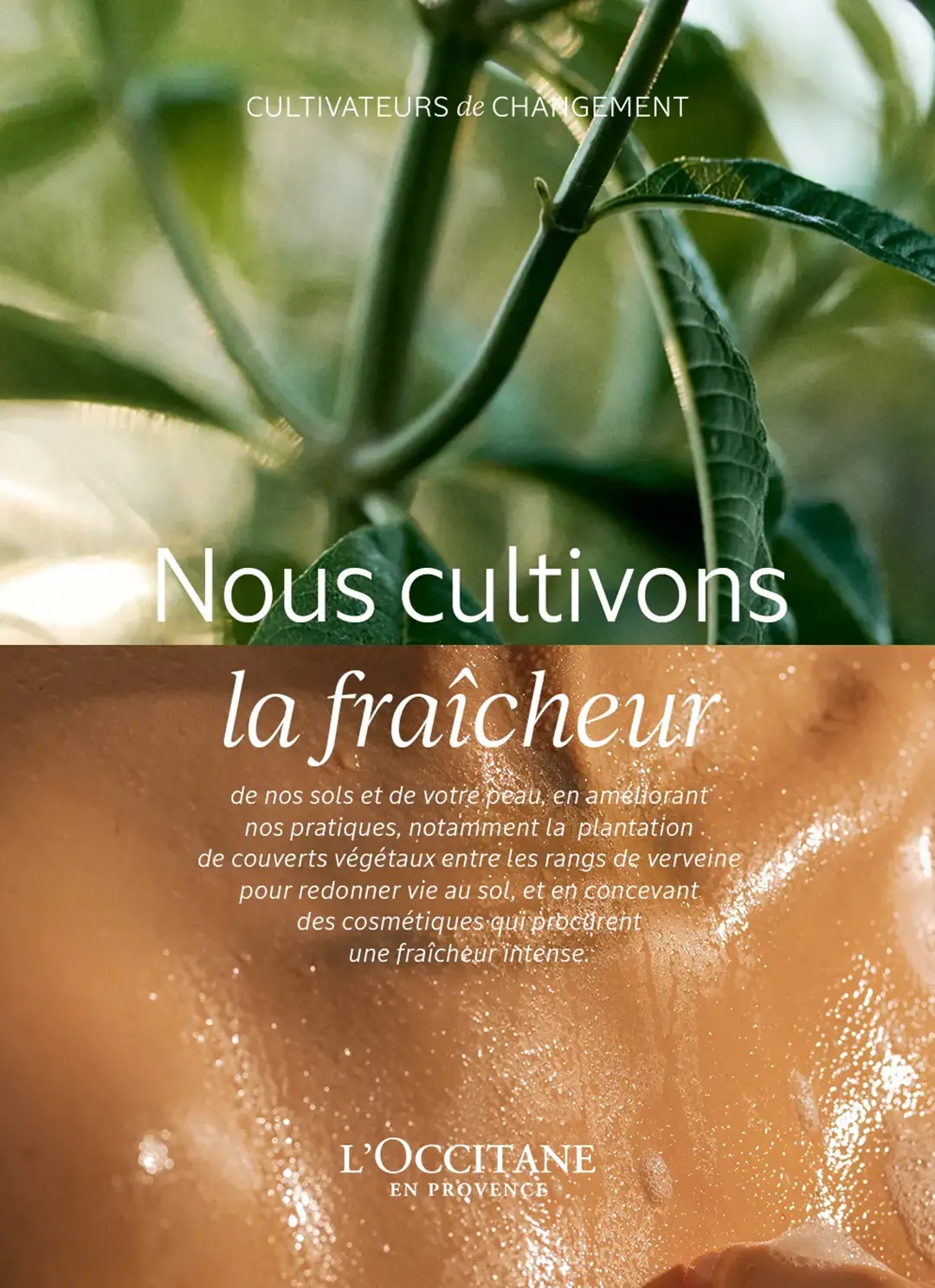 agence raymonde projet occitane