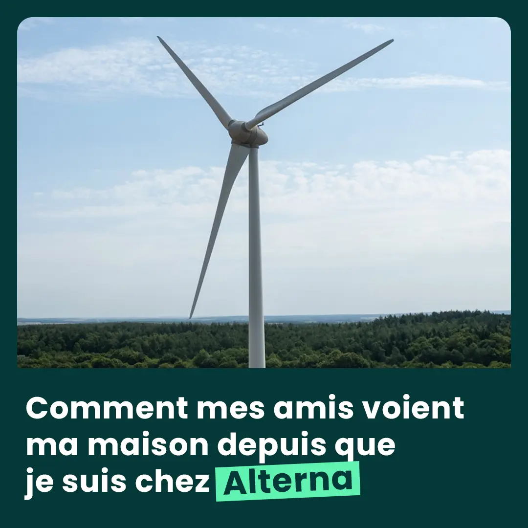 agence raymonde projet the botanist